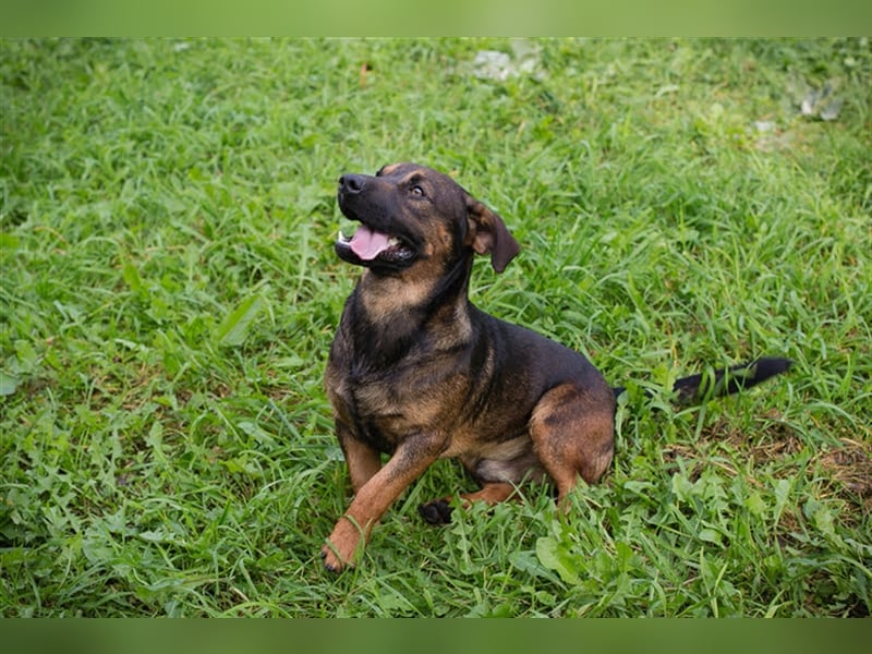 Ferdi – auch mit kleinen Beinen, flink unterwegs!