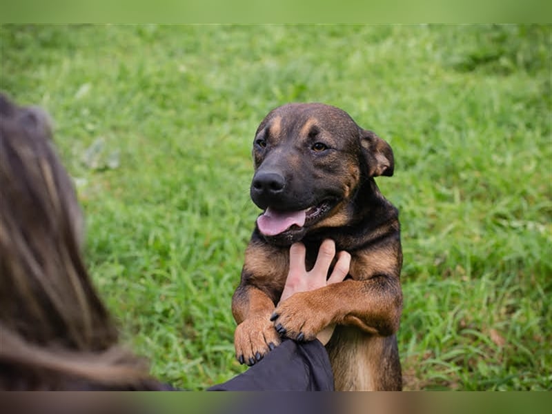 Ferdi – auch mit kleinen Beinen, flink unterwegs!