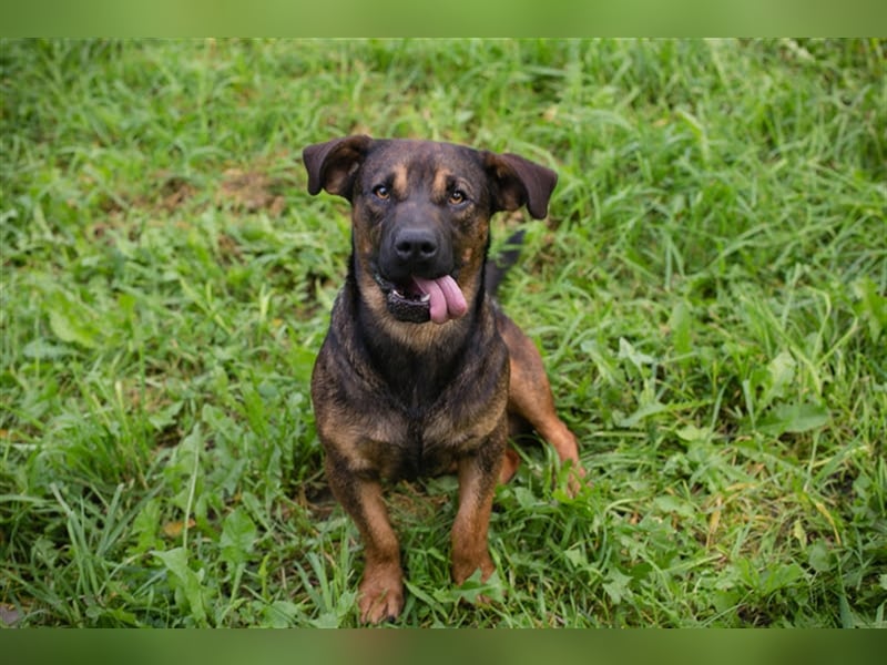Ferdi – auch mit kleinen Beinen, flink unterwegs!