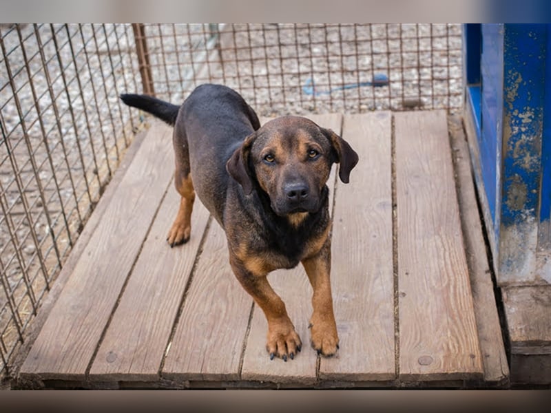 Ferdi – auch mit kleinen Beinen, flink unterwegs!