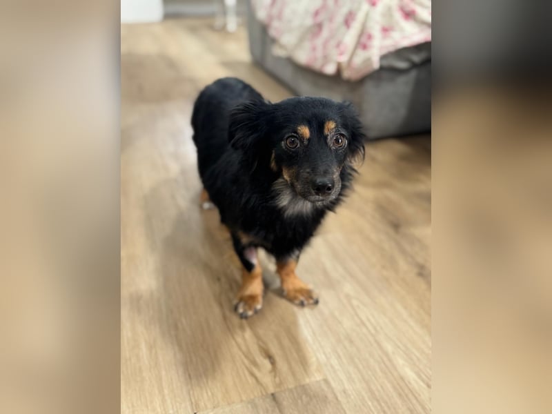 Isabel, sucht ihre Familie