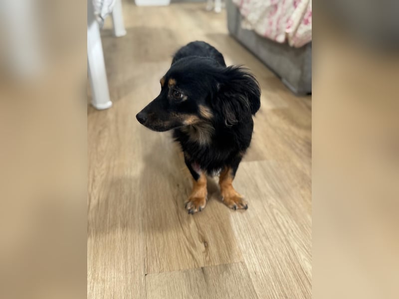Isabel, sucht ihre Familie
