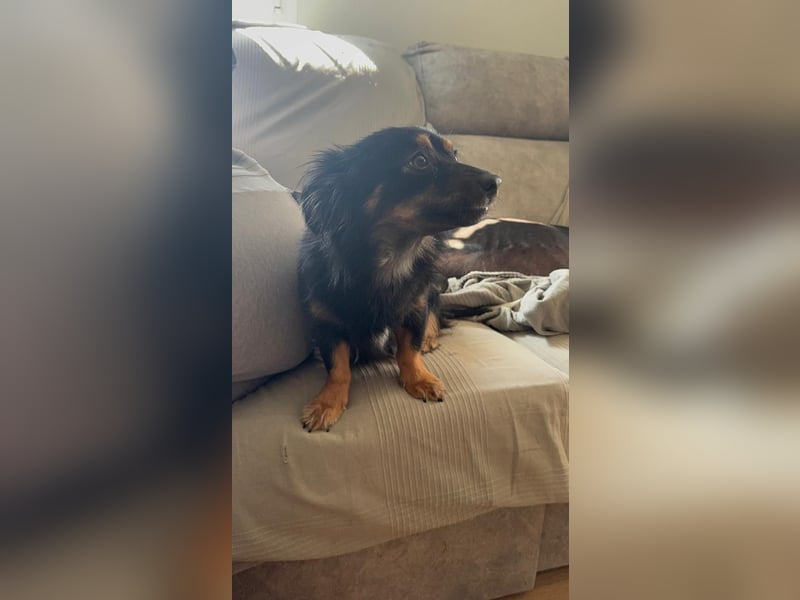 Isabel, sucht ihre Familie