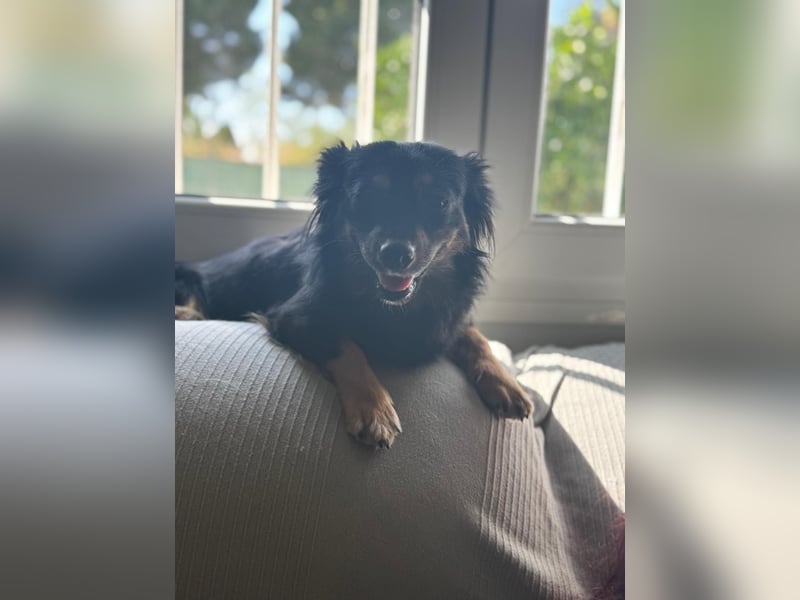 Isabel, sucht ihre Familie