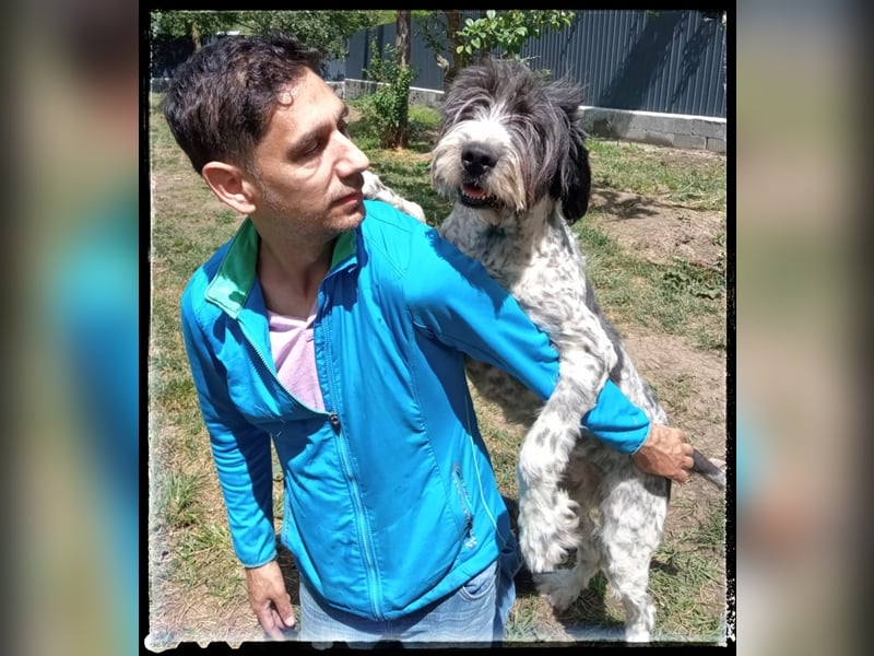 Nini - freundlich, fröhlich und agil - sucht ihre Menschen