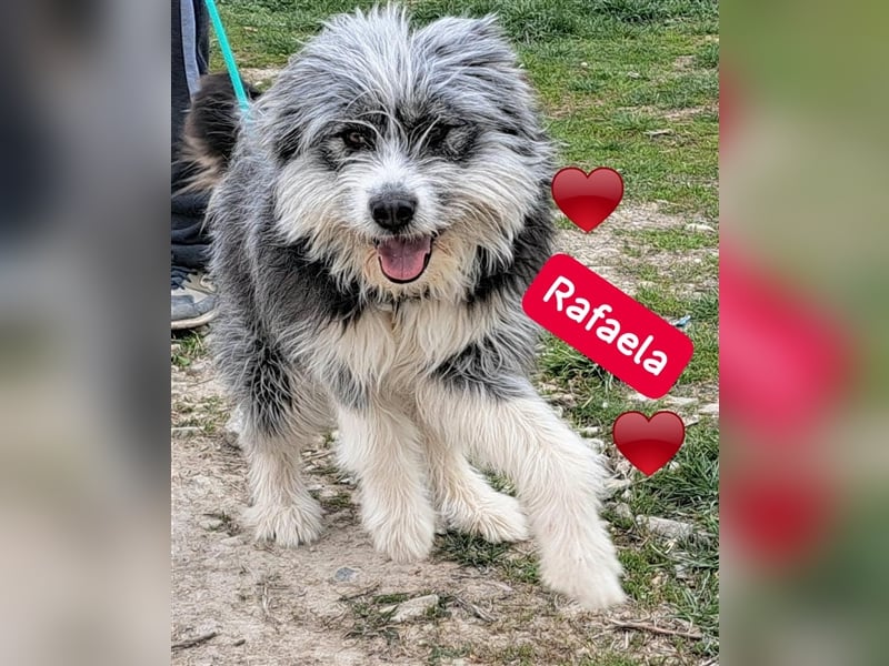 Rafaela lacht, obwohl sie in Rumänien nichts zu lachen hat