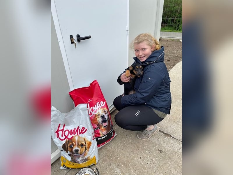 Ameli, kleine Zuckerschnecke auf der Suche nach ihrer Familie
