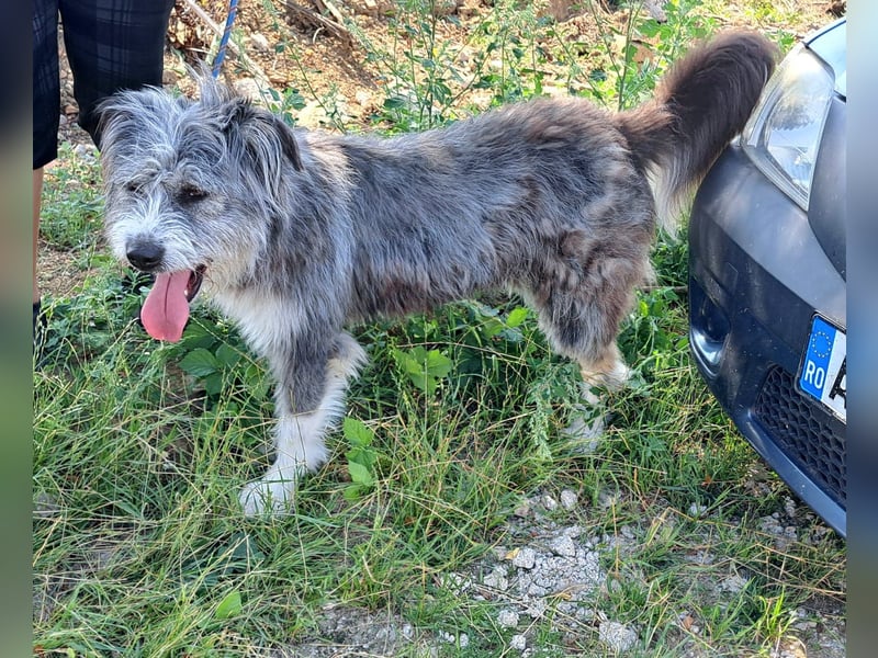 Rafaela lacht, obwohl sie in Rumänien nichts zu lachen hat