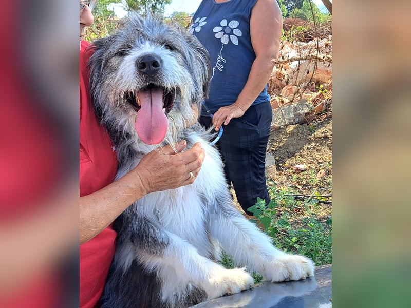 Rafaela lacht, obwohl sie in Rumänien nichts zu lachen hat