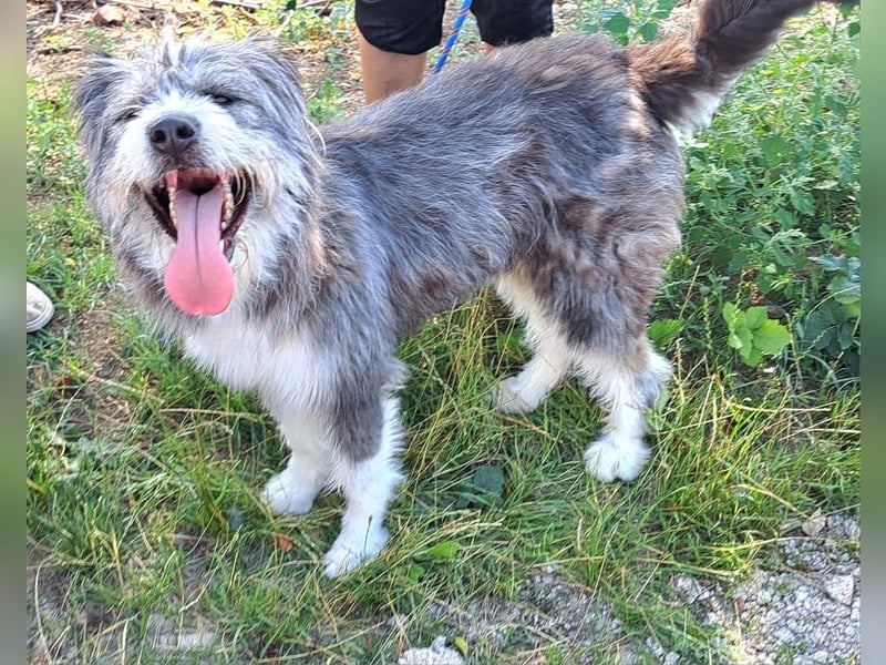 Rafaela lacht, obwohl sie in Rumänien nichts zu lachen hat
