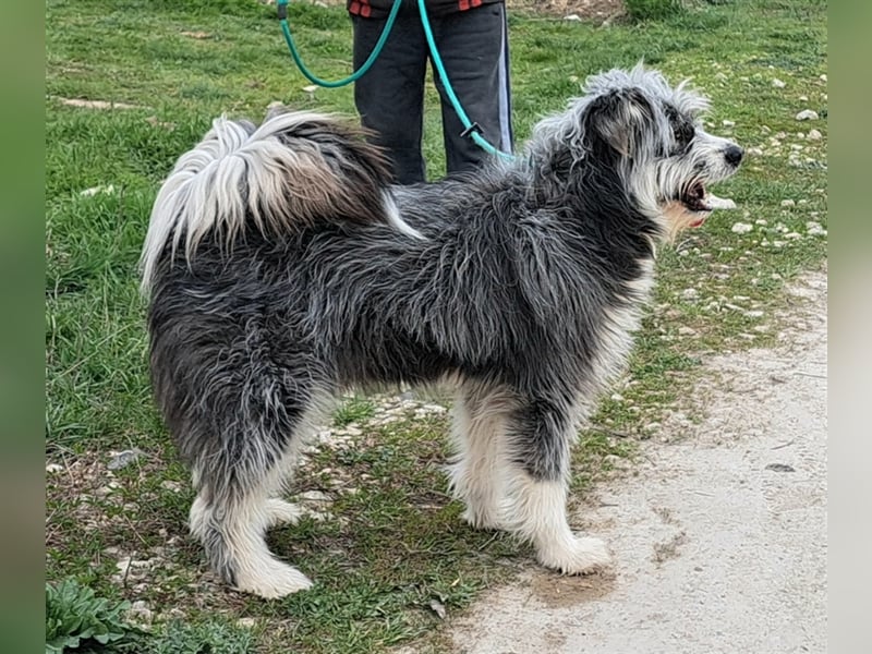 Rafaela lacht, obwohl sie in Rumänien nichts zu lachen hat