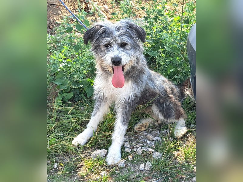 Rafaela lacht, obwohl sie in Rumänien nichts zu lachen hat