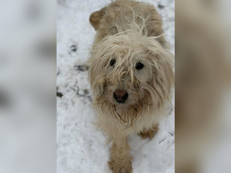 Stella von kettenlos