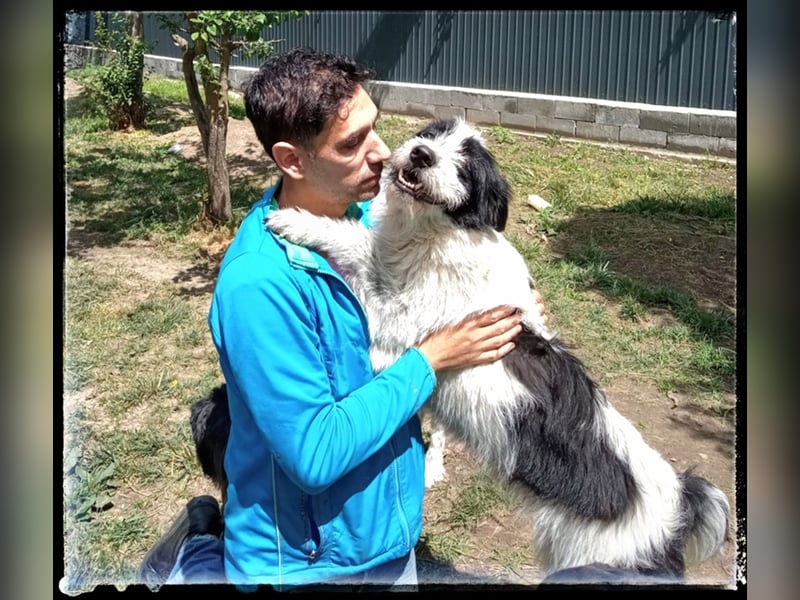 die fröhliche Nani wartet auf ihre Menschen