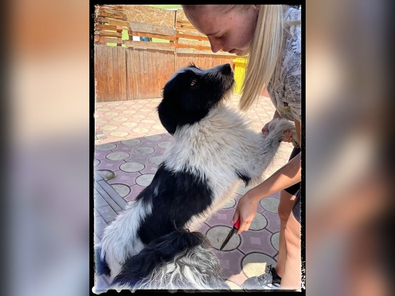 die fröhliche Nani wartet auf ihre Menschen