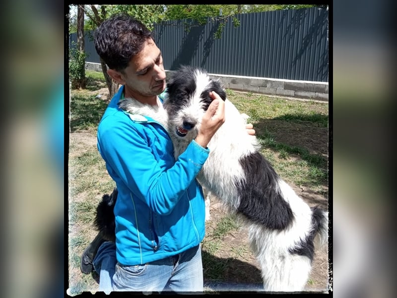 die fröhliche Nani wartet auf ihre Menschen