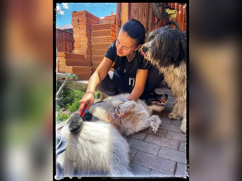 die fröhliche Nani wartet auf ihre Menschen