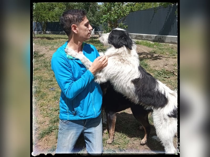 die fröhliche Nani wartet auf ihre Menschen