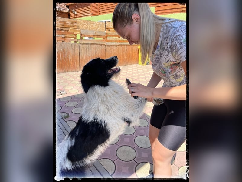 die fröhliche Nani wartet auf ihre Menschen