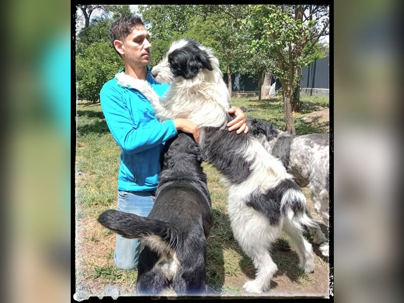 die fröhliche Nani wartet auf ihre Menschen