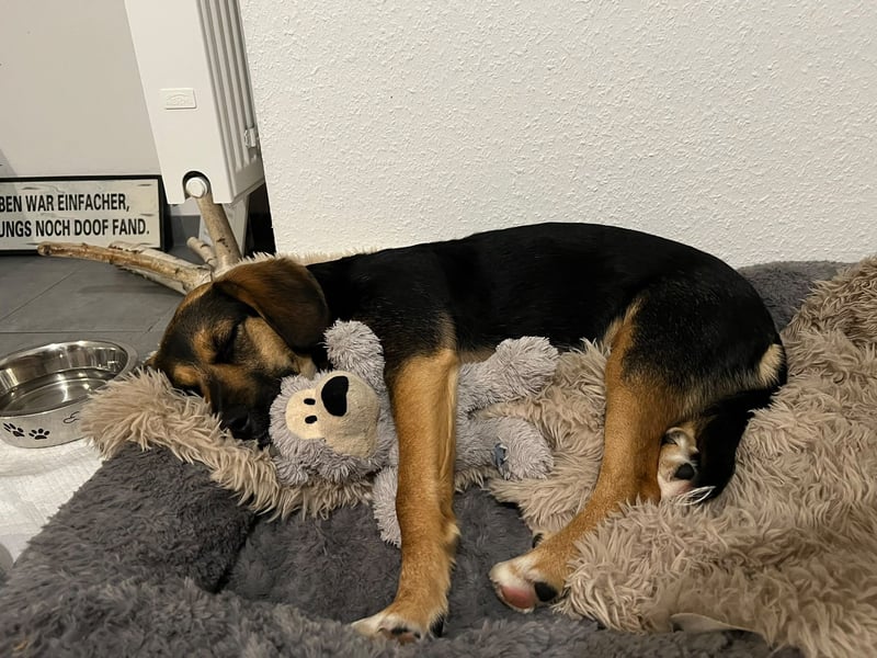Alissa such ihre Herzensmenschen...