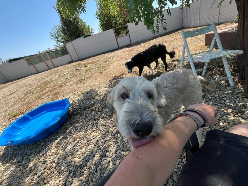 Ari - voller Lebensfreude