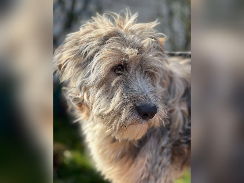 Ari - voller Lebensfreude