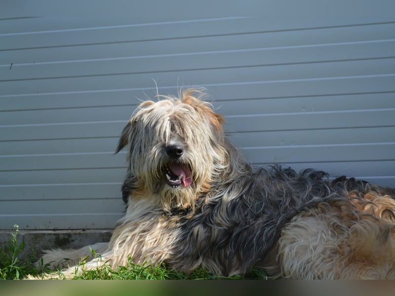 Ari - voller Lebensfreude