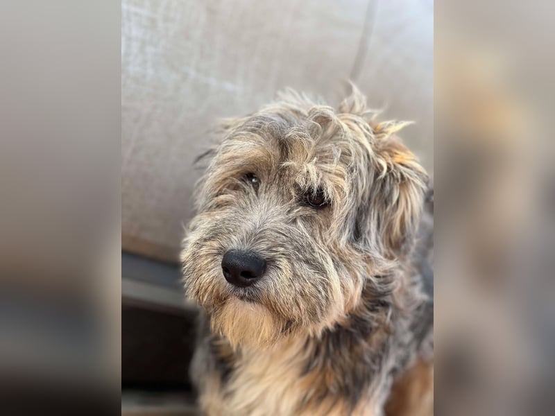 Ari - voller Lebensfreude