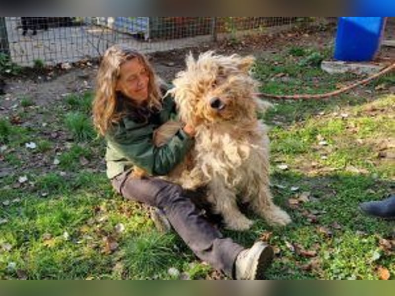 Ole sucht sein Körbchen bei erfahrenen Menschen