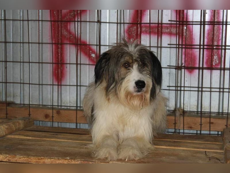 Rocky sucht ein ruhiges Plätzchen