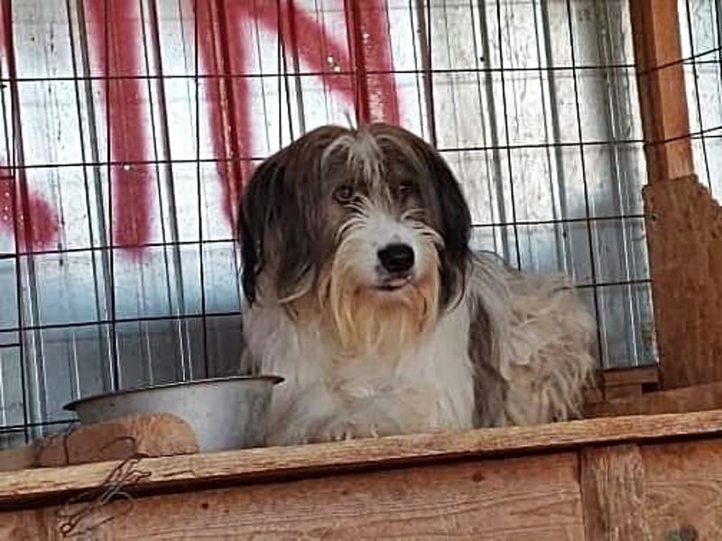 Rocky sucht ein ruhiges Plätzchen