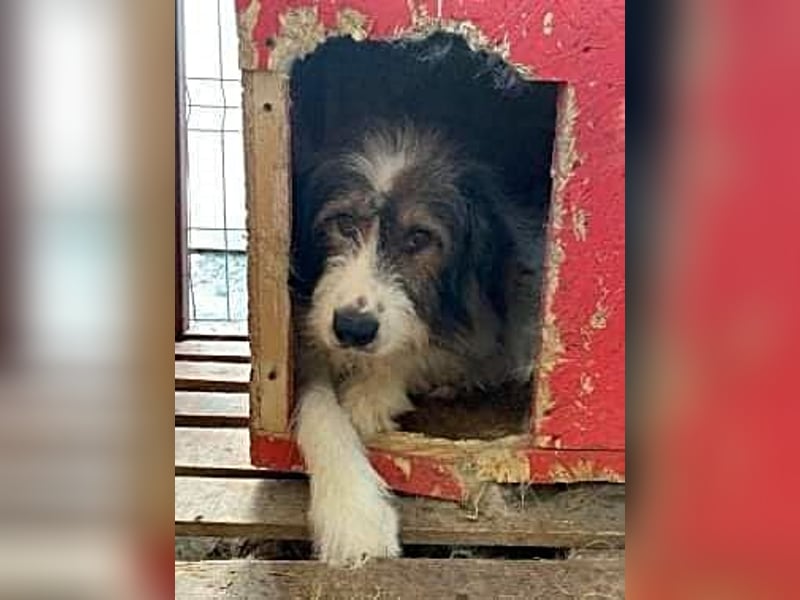 Rocky sucht ein ruhiges Plätzchen