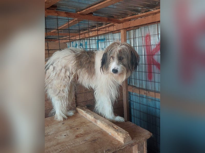 Rocky sucht ein ruhiges Plätzchen
