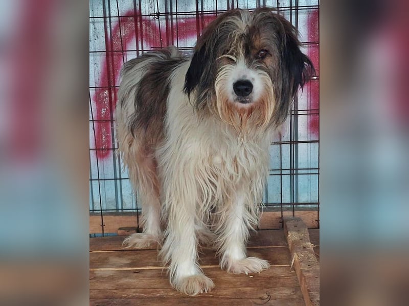 Rocky sucht ein ruhiges Plätzchen