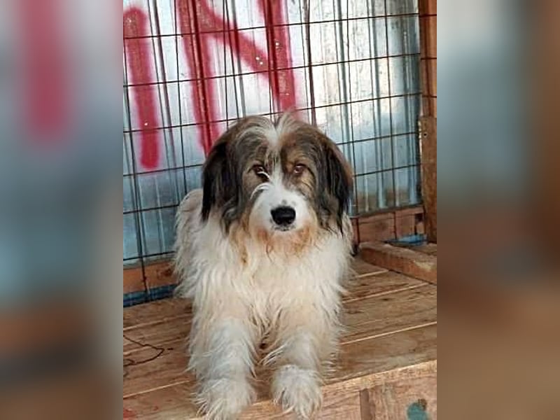 Rocky sucht ein ruhiges Plätzchen