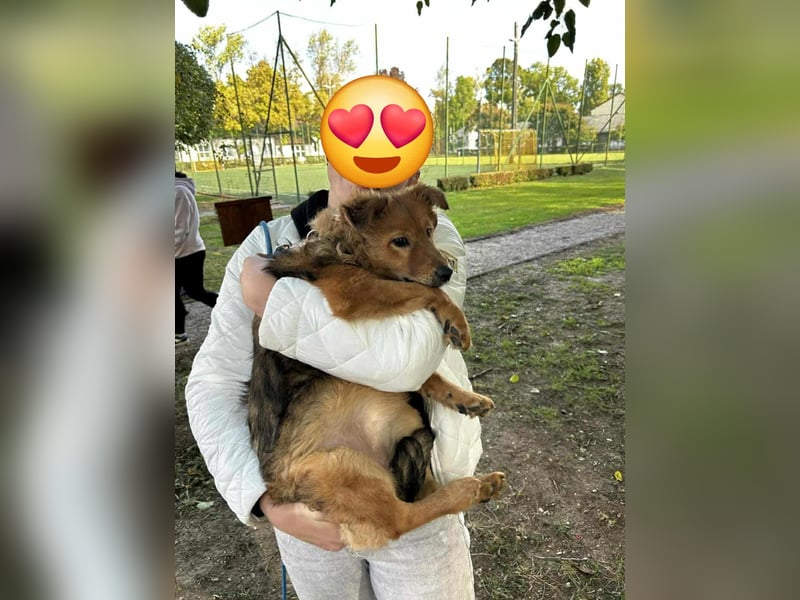 Die liebe Tantusz ist voller Lebensfreude !
