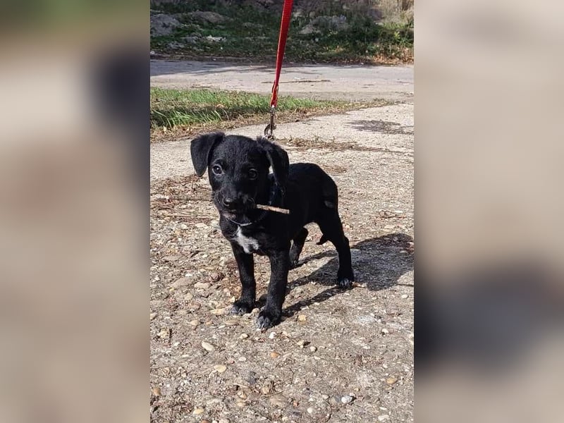 Die liebe Yoko ist voller Lebensfreude !