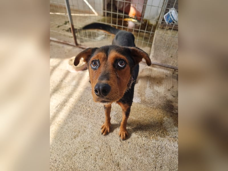 Cora ist bereit für ihr neues Leben Cora ist bereit für ihr neues Leben