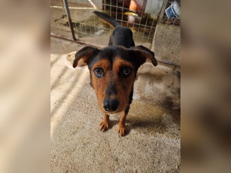 Cora ist bereit für ihr neues Leben Cora ist bereit für ihr neues Leben