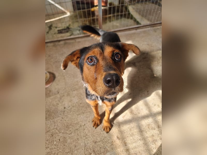 Cora ist bereit für ihr neues Leben Cora ist bereit für ihr neues Leben