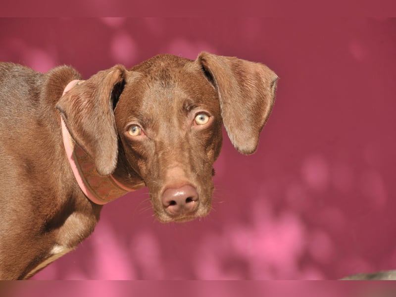 Zeigen Sie Ronaldo wie schön das Leben, in einen liebevollen Zuhause, sein kann?