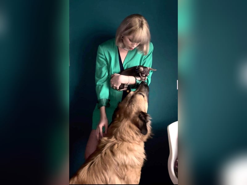 Grizzly sucht noch sein Zuhause