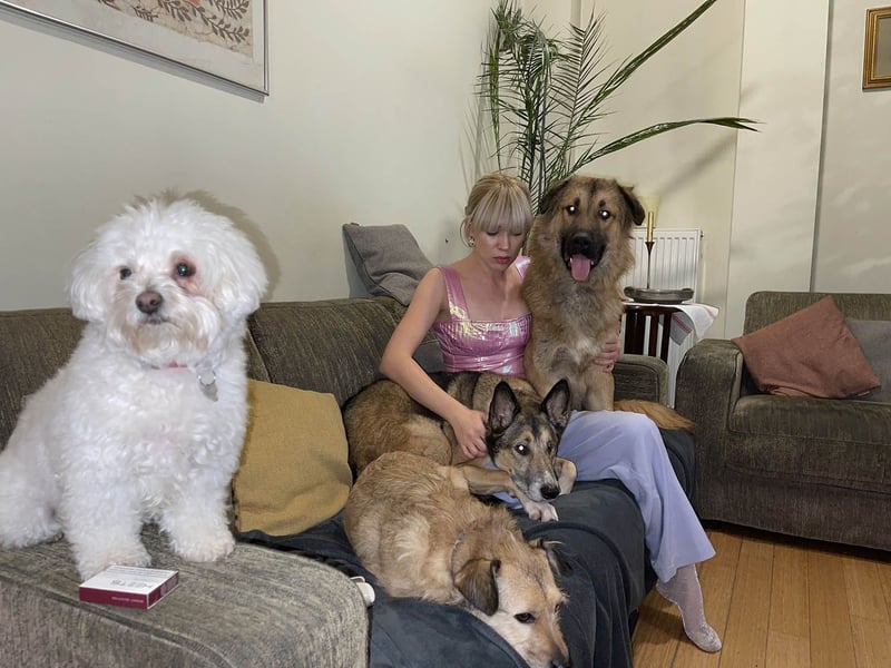 Grizzly sucht noch sein Zuhause