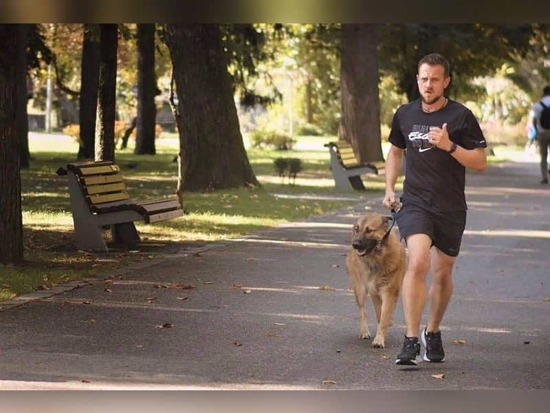 Grizzly sucht noch sein Zuhause