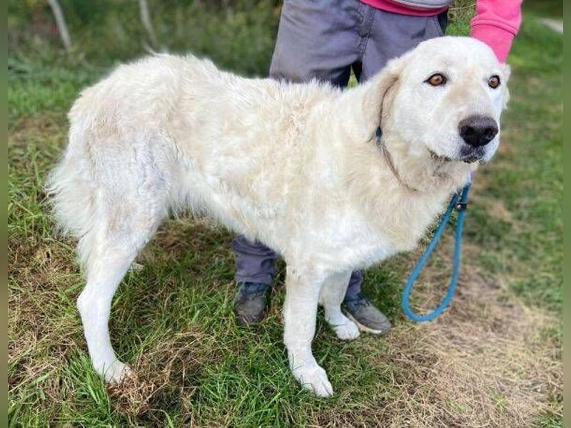 ZUZA  ist traurig, wer tröstet sie?