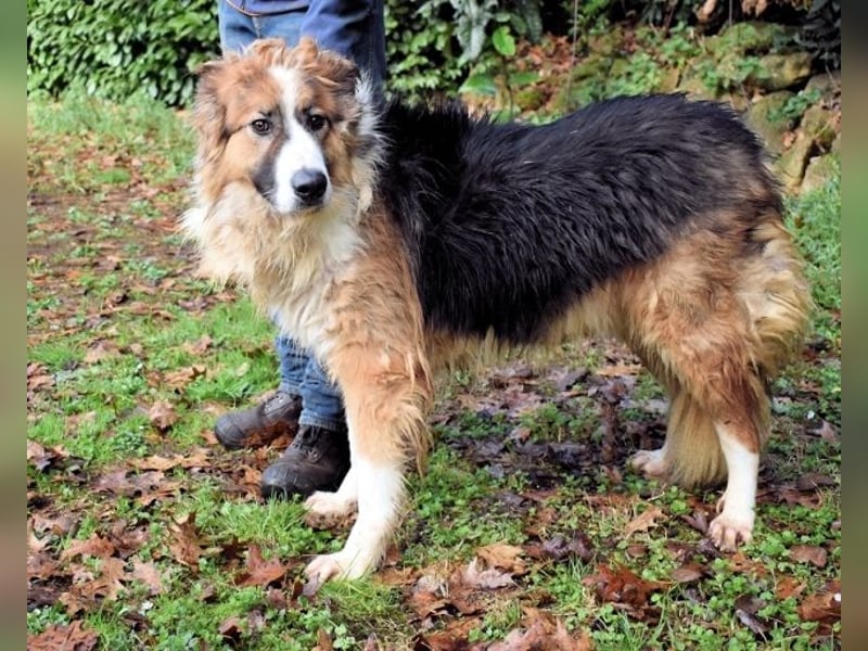 Kito - Irgendwas das bleibt