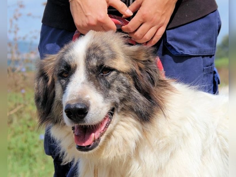 Poncio - wird zum Musterschüler