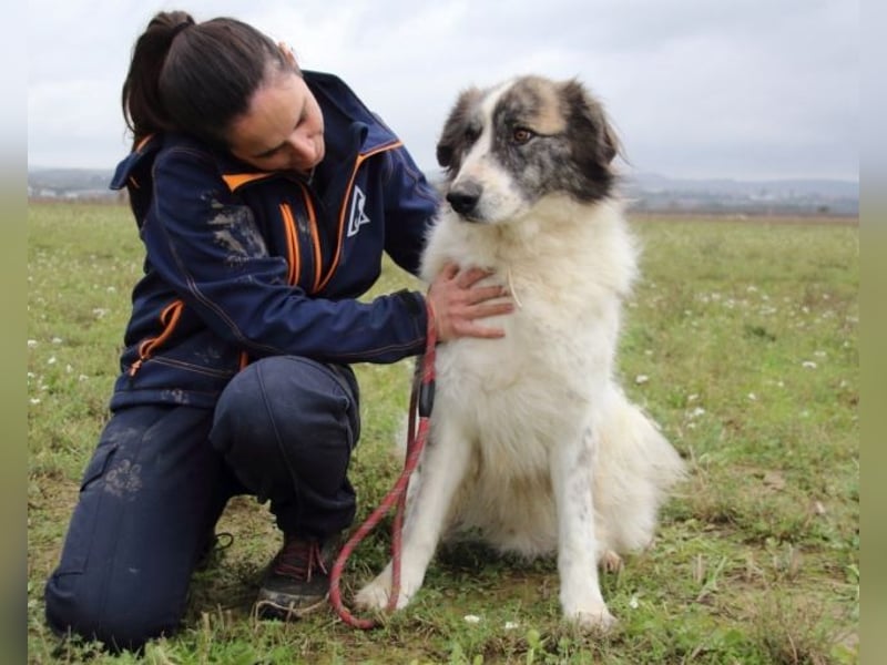 Poncio - wird zum Musterschüler