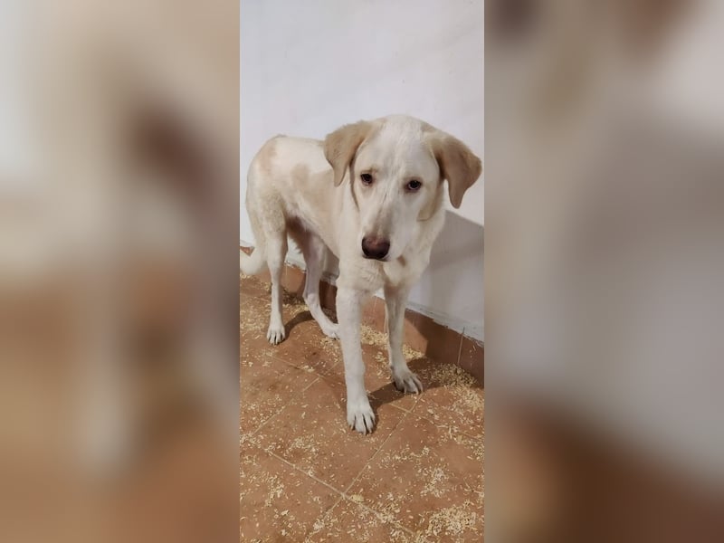 Clara - Wenn du es uns doch erzählen könntest